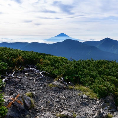 赤石岳富士見平から見た富士山（南アルプス）の写真