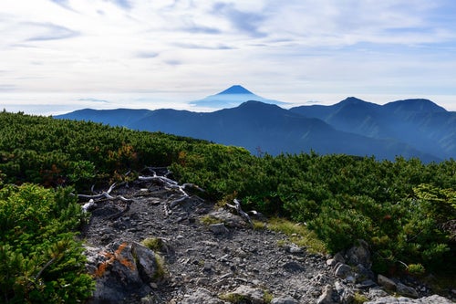 赤石岳富士見平から見た富士山（南アルプス）の写真