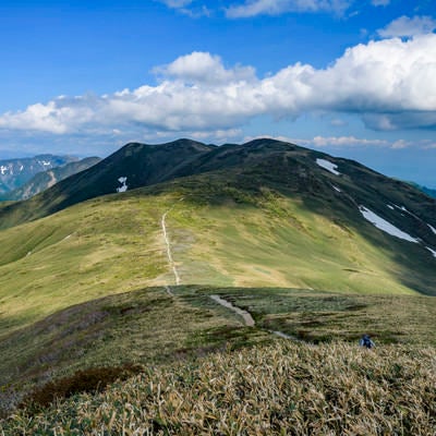 晴れ間に照らされる仙ノ倉山の稜線と登山道の写真