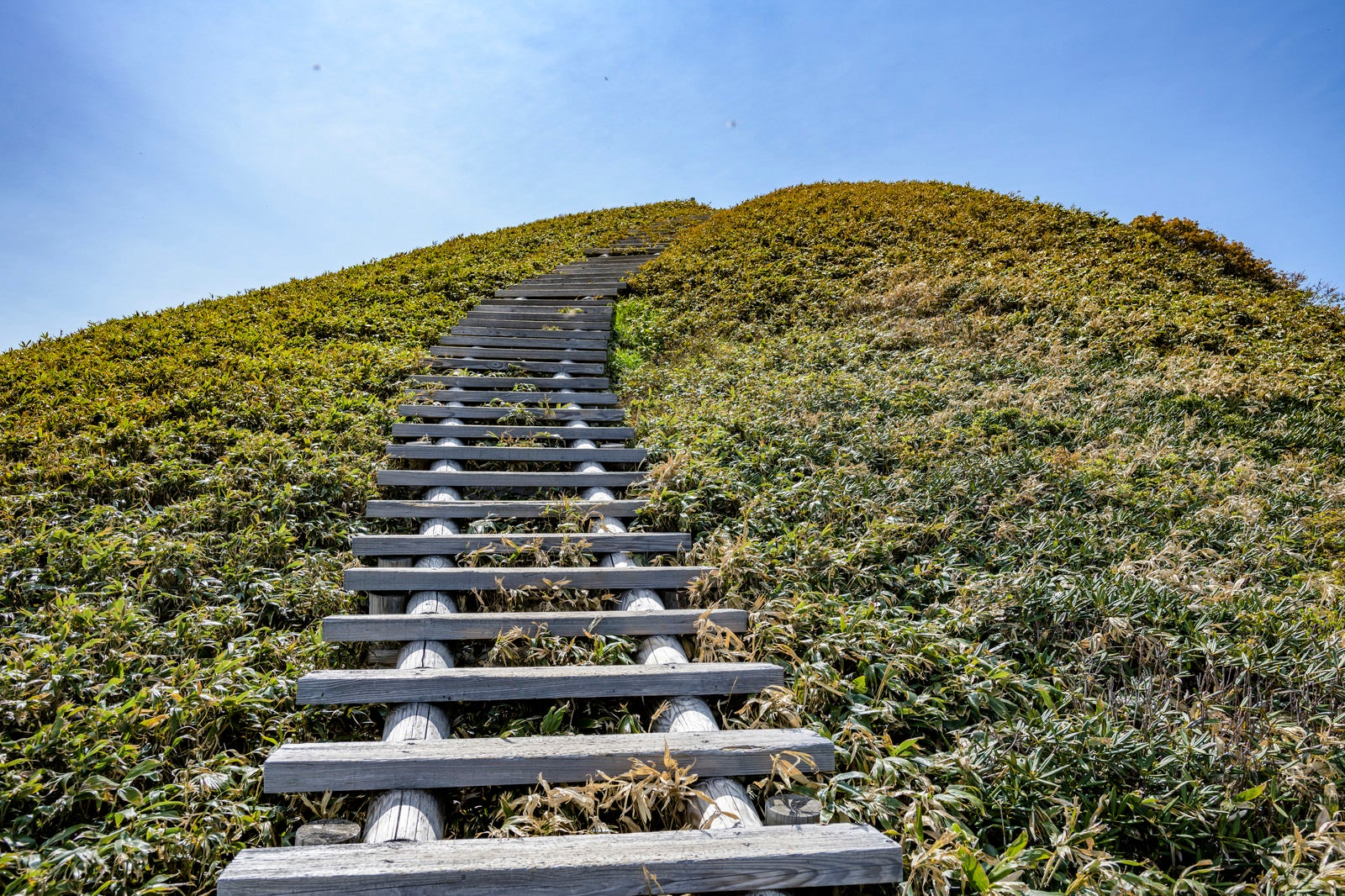 「天空へと向かう木道の階段」の写真