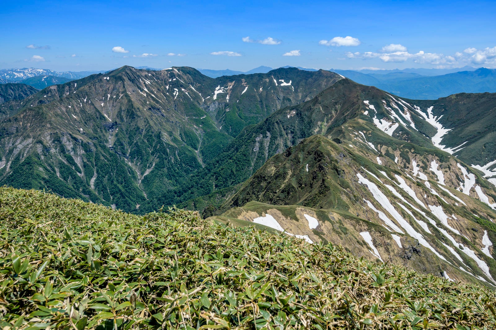 「主脈から見る谷川岳の稜線」の写真