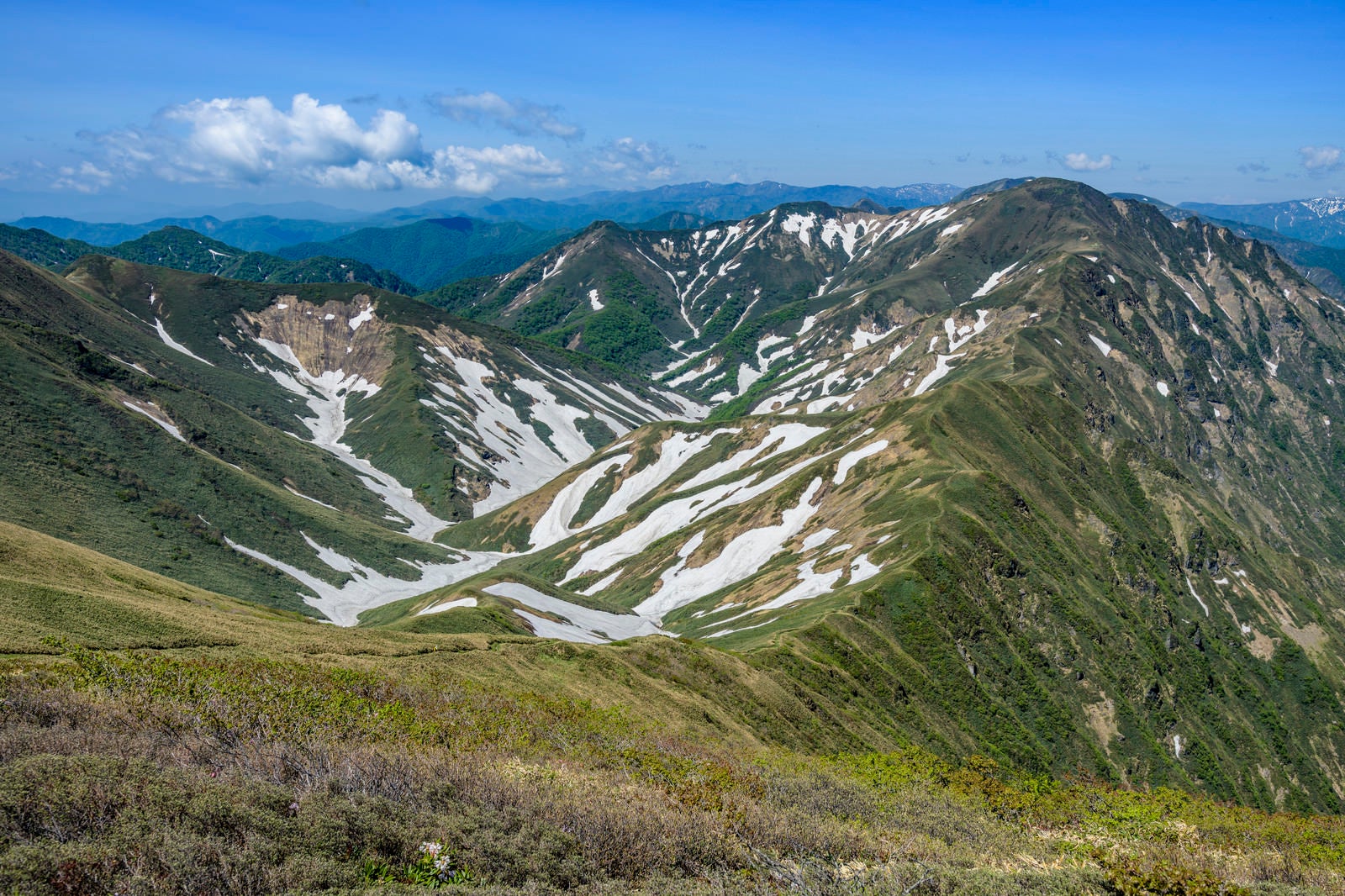 「雪渓残る谷川主脈の山々」の写真