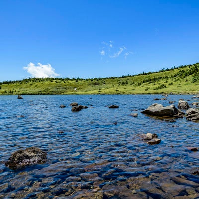 山の上に現れた高層湿原と湖（吾妻連峰）の写真