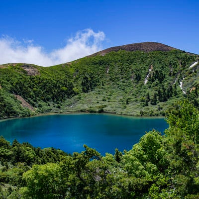 登山道の茂みから見るカルデラ湖（魔女の瞳）の写真