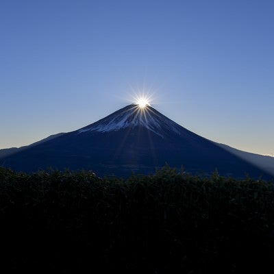 顔を出したばかりのダイヤモンド富士の写真