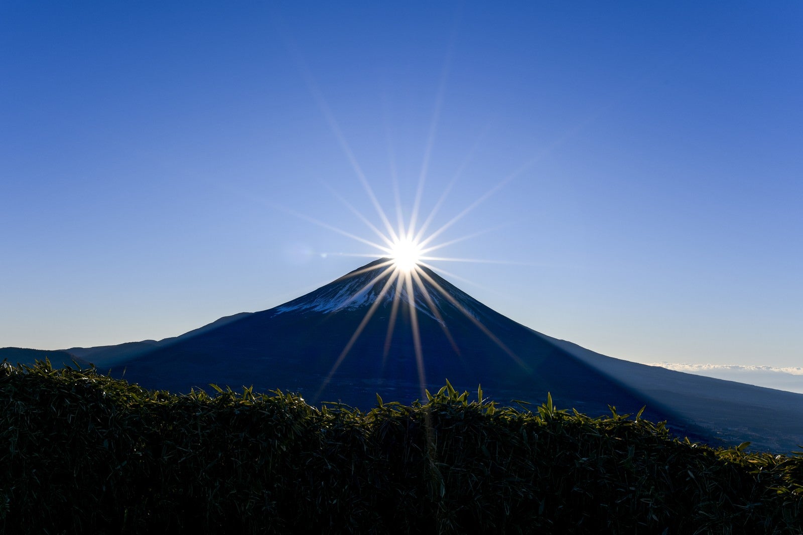 「竜ヶ岳から見るダイヤモンド富士」の写真