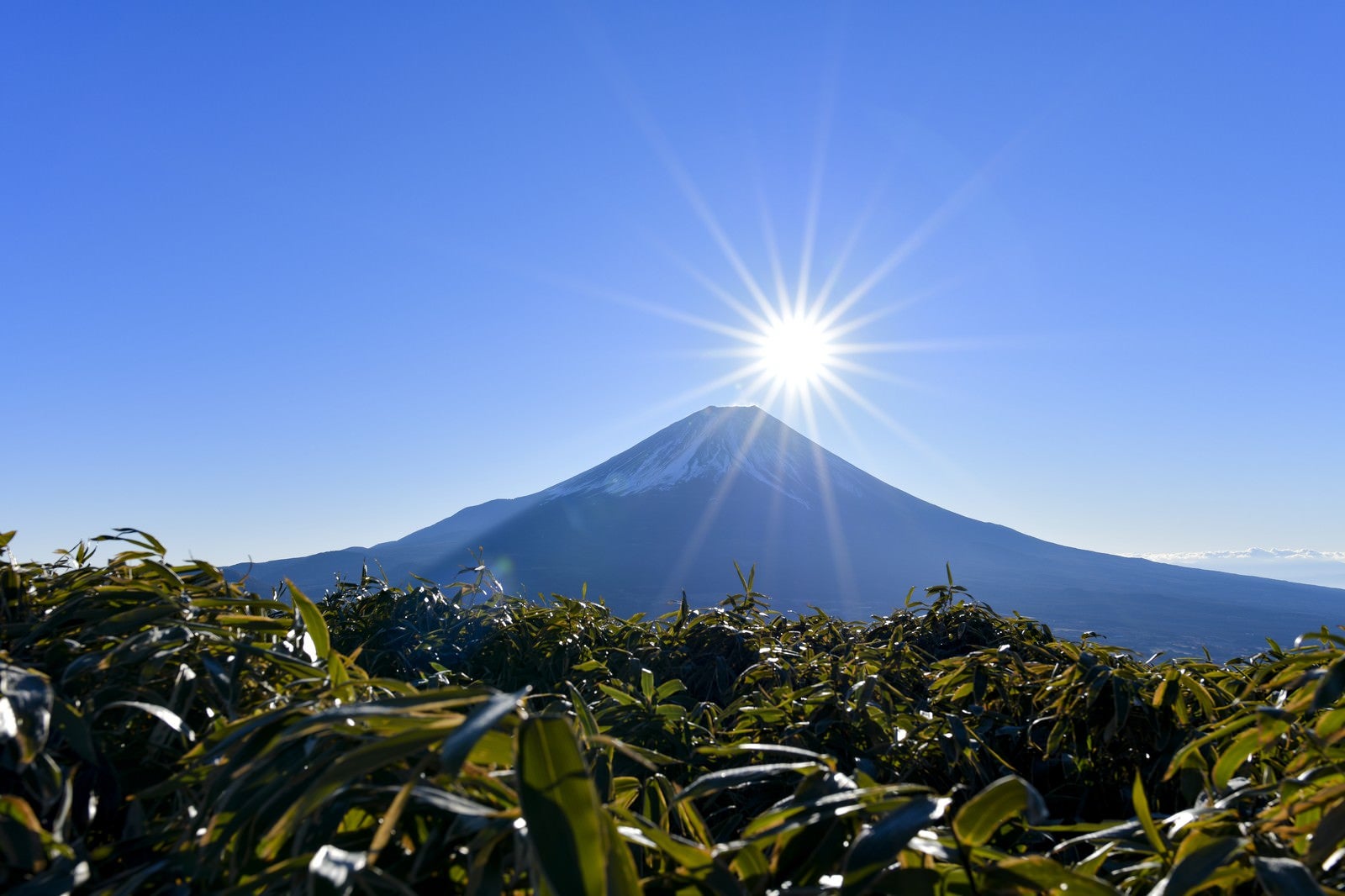 「富士山頂から昇る太陽（竜ヶ岳）」の写真