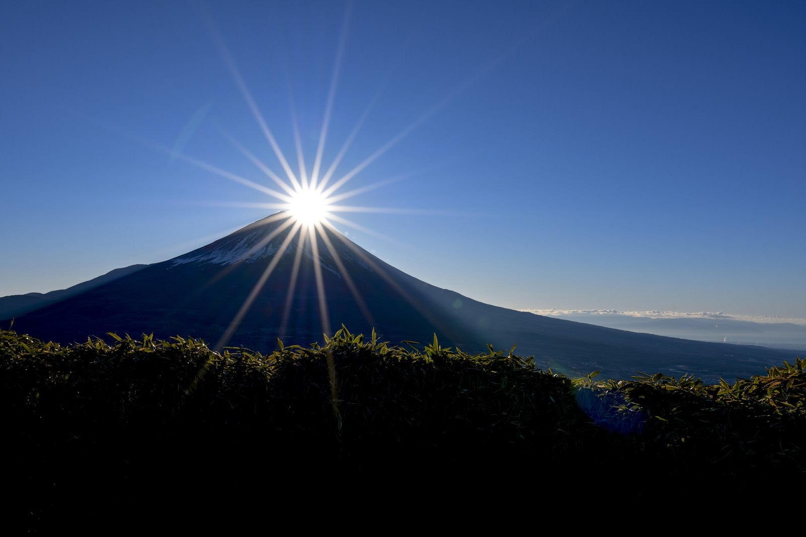 「光芒とダイヤモンド富士（竜ヶ岳）」の写真