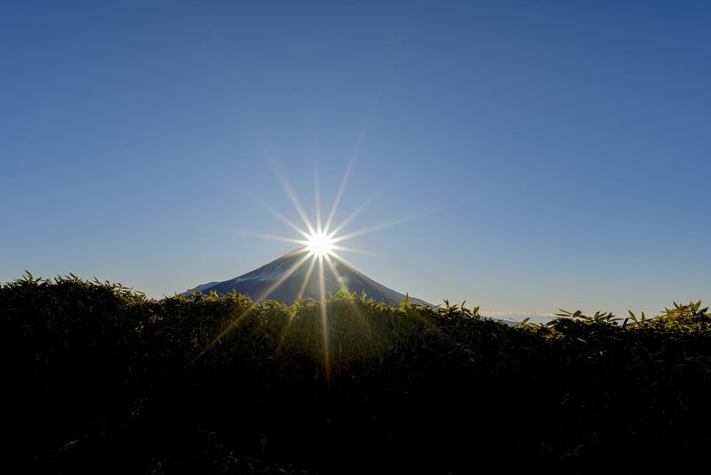 笹藪から見るダイヤモンド富士（竜ヶ岳）の写真