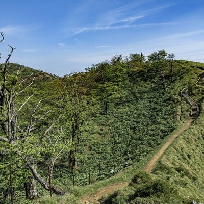 丹沢主脈の稜線登山道と木道の階段の写真