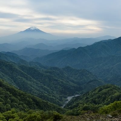 丹沢山地から見る富士山の写真