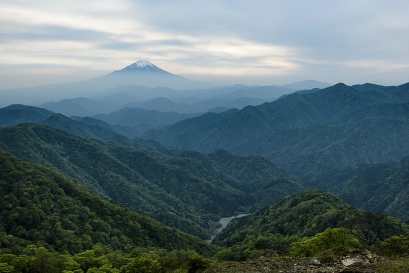 丹沢山地から見る富士山の写真