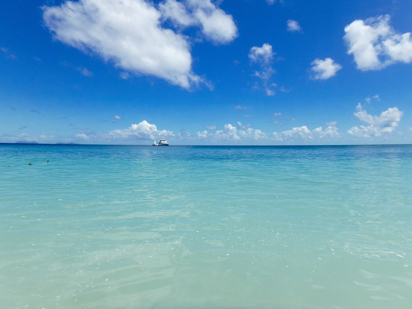 「真っ青な海に浮かぶクルーザー」の写真