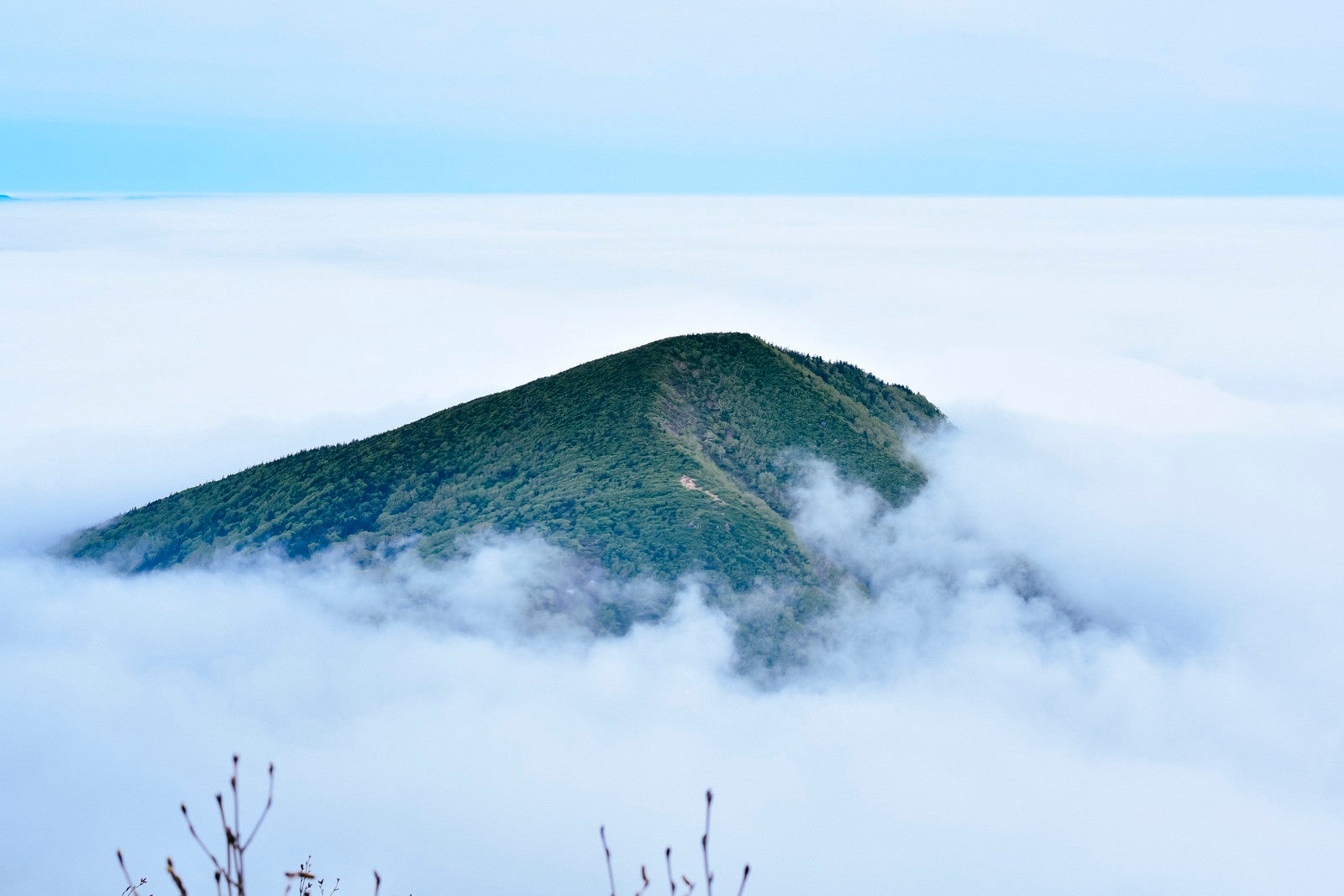 「雲の海に浮かぶ山の島（蔵王）」の写真