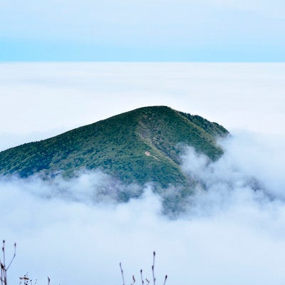 雲の海に浮かぶ山の島（蔵王）の写真