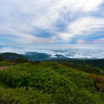 雲の合間に広がる登山道（蔵王）の写真