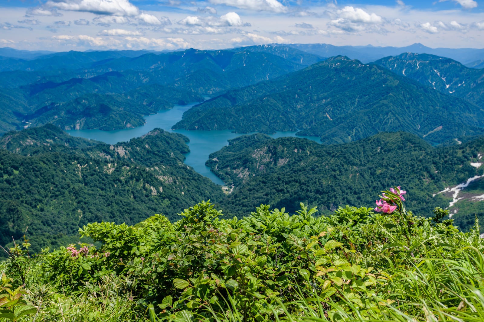 「ヒメサユリが自生する山から俯瞰する田子倉湖（田子倉ダム）」の写真