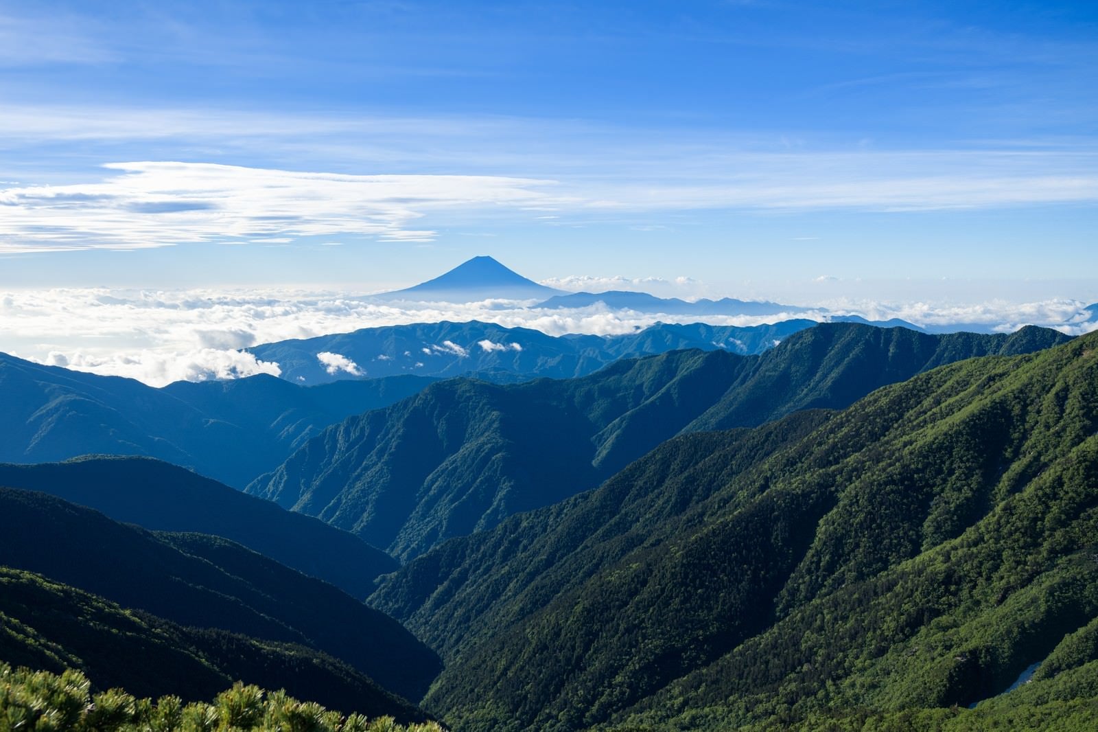 「南アルプスの深い森から見る富士山」の写真