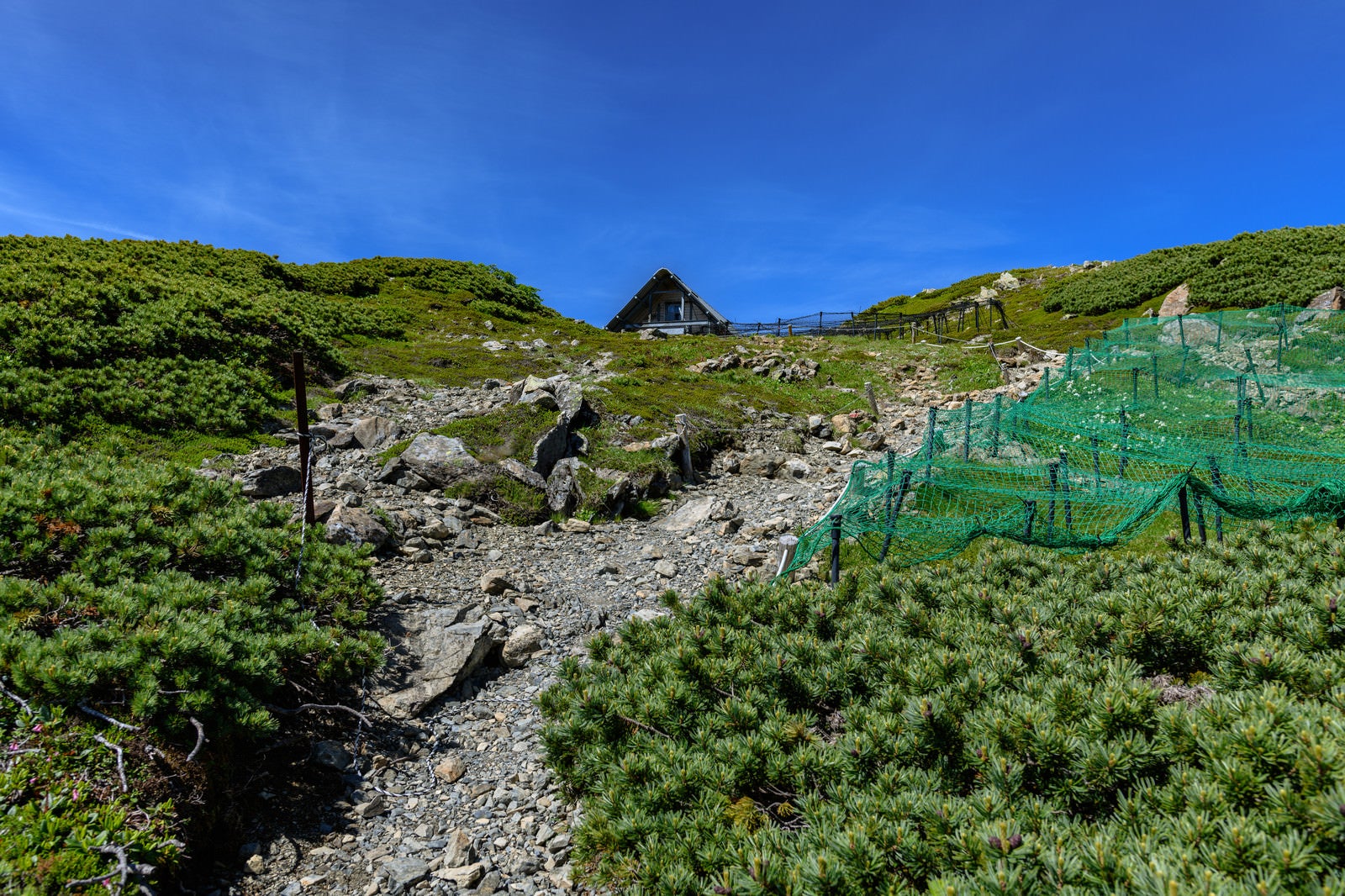 「中岳避難小屋までの登山道（南アルプス）」の写真