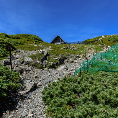 中岳避難小屋までの登山道（南アルプス）の写真