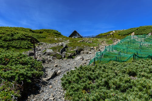 中岳避難小屋までの登山道（南アルプス）の写真