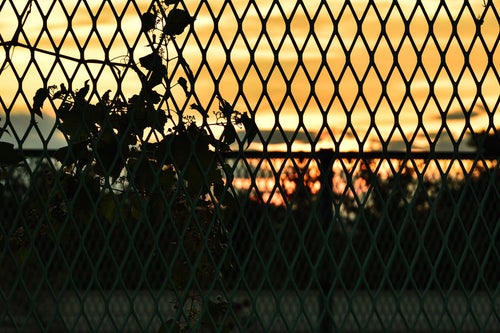 フェンス越しに見る夕焼けの写真