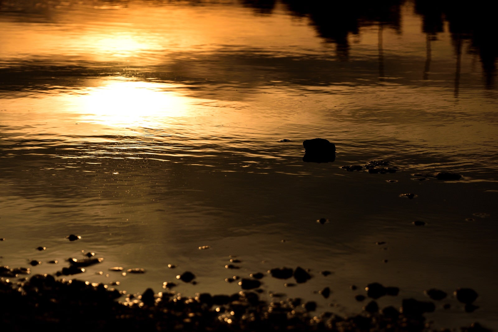 「夕焼けに染まる水溜り」の写真