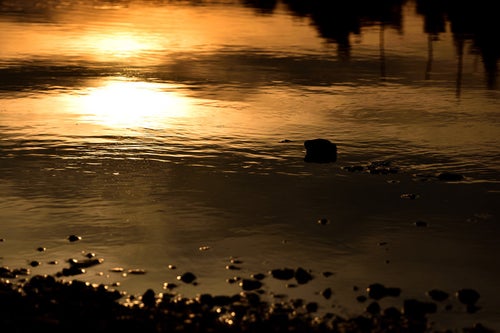 夕焼けに染まる水溜りの写真