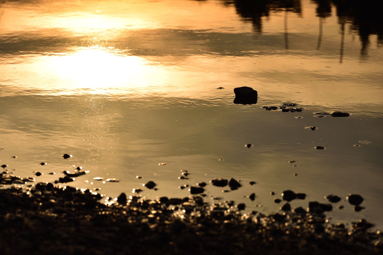 「夕日に染まる水たまり」の写真
