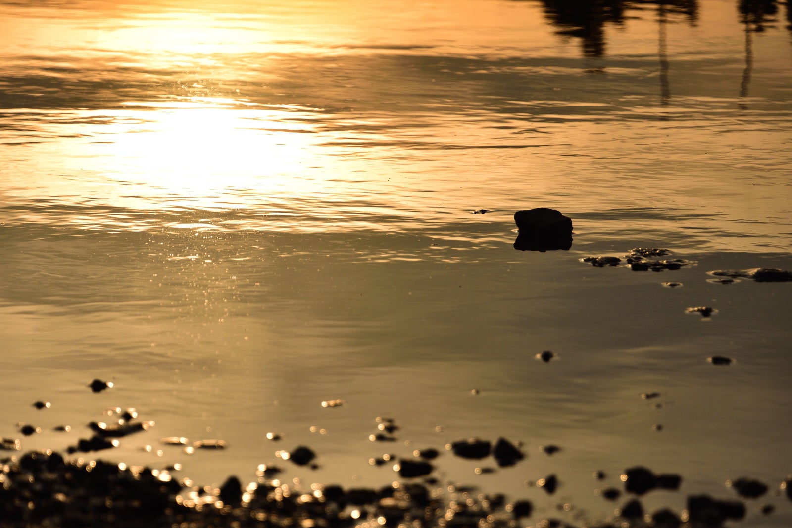 「水溜りの中の夕日」の写真