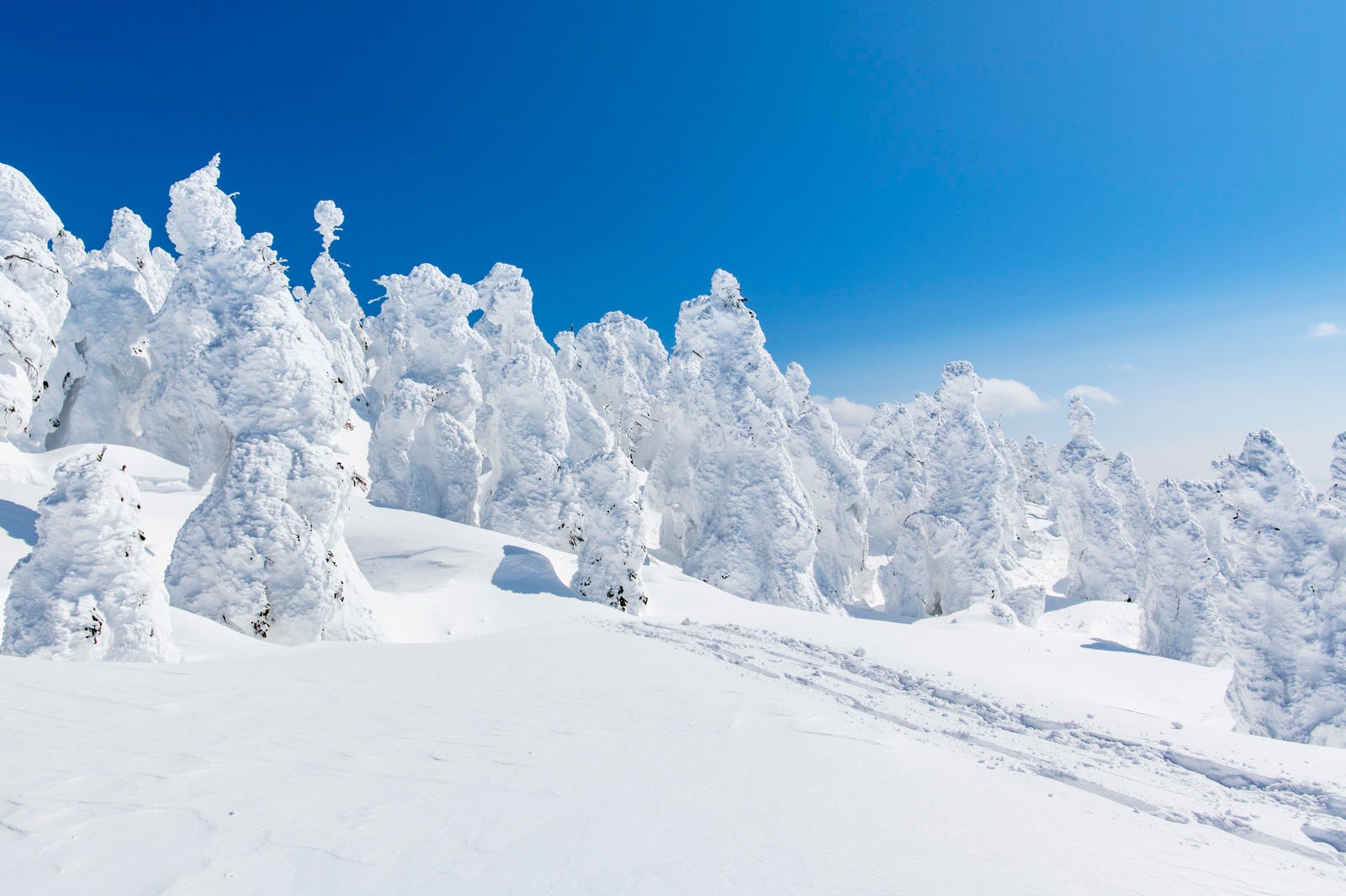 「西吾妻山の霧氷」の写真