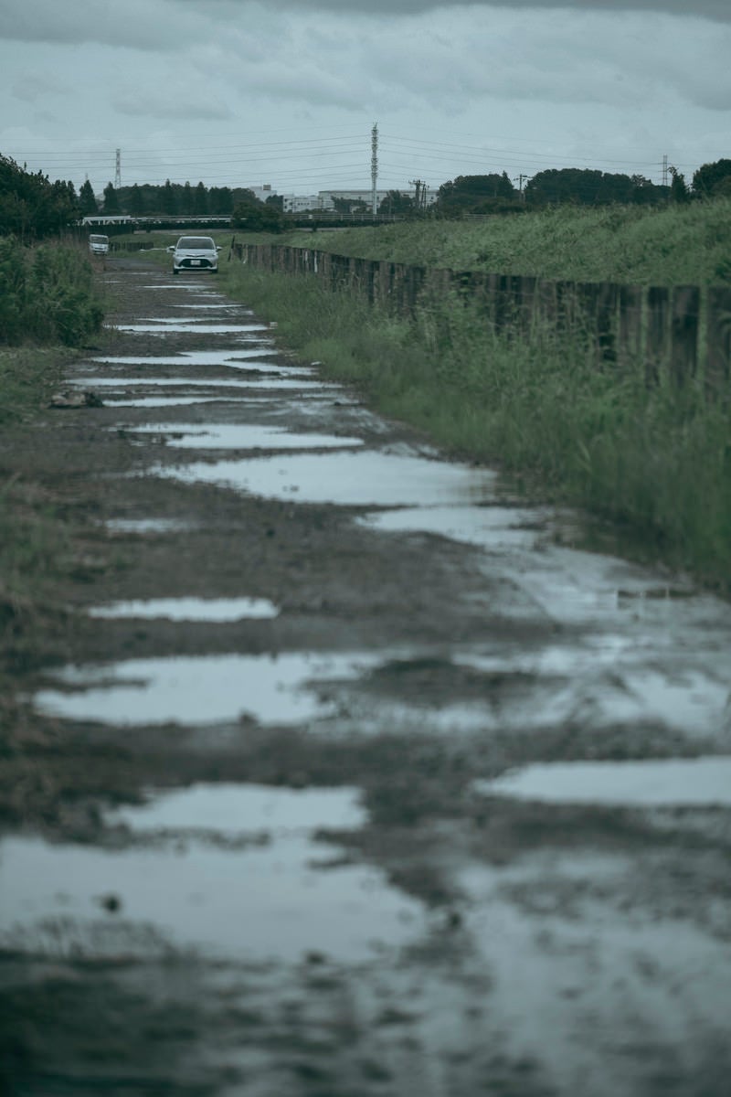 「雨に濡れた河川敷の道と営業車」の写真