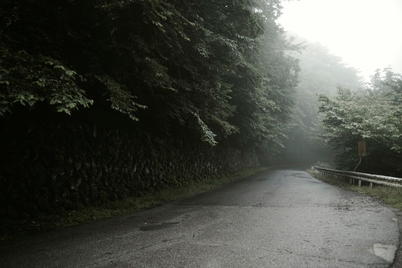 「霧に包まれる林道」の写真