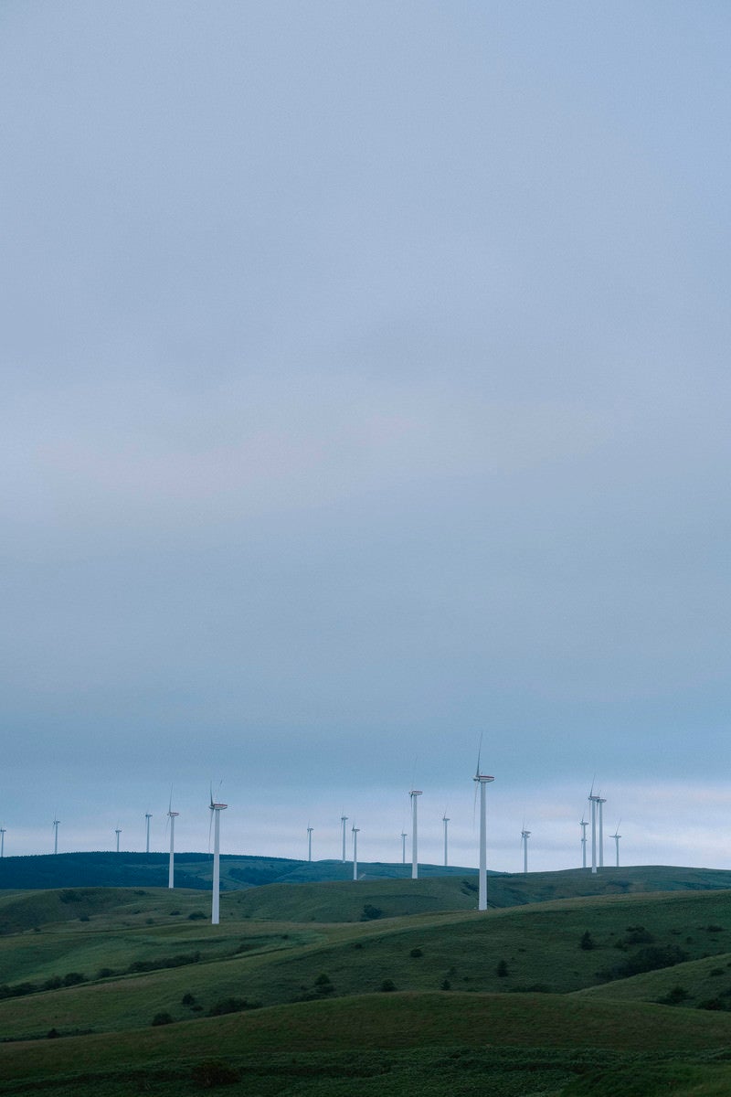 「宗谷丘陵の風車」の写真