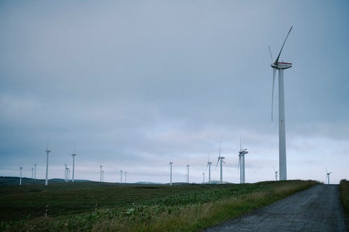 宗谷岬近くで稼働する風車郡の写真
