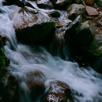山中を流れる清流の流れの写真