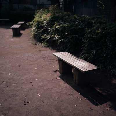 座る人のいない公園のベンチの写真