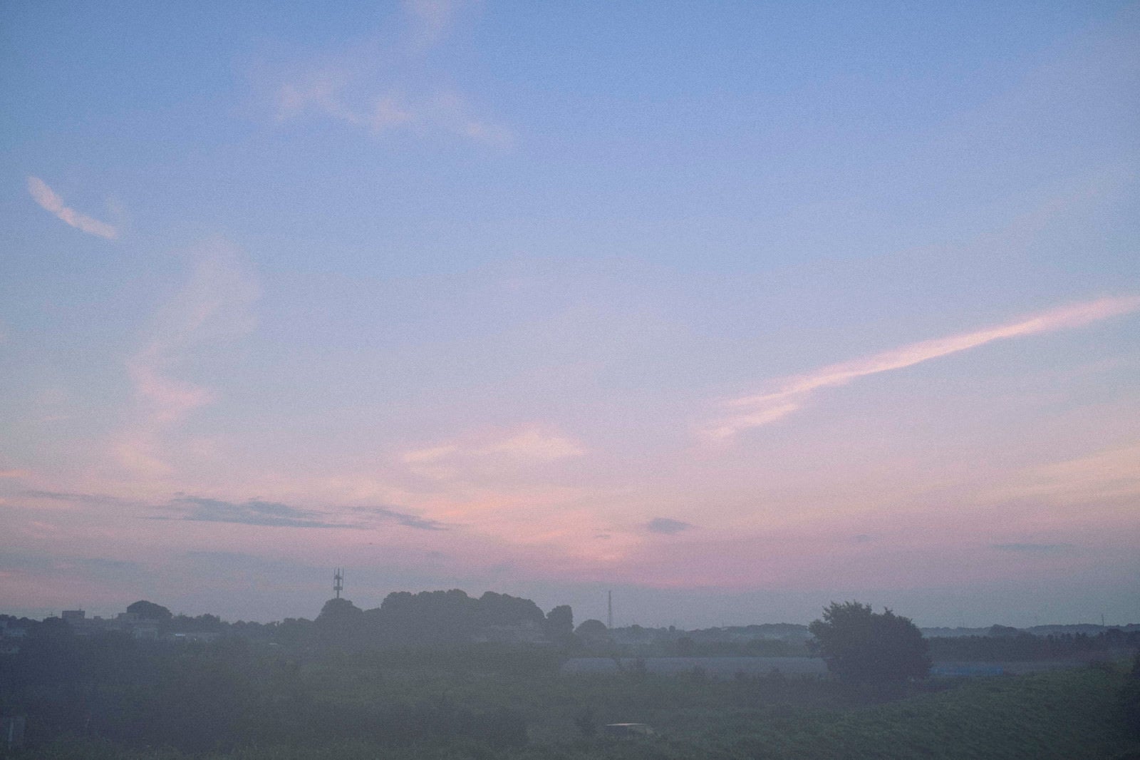「朝靄の中の畑の空」の写真