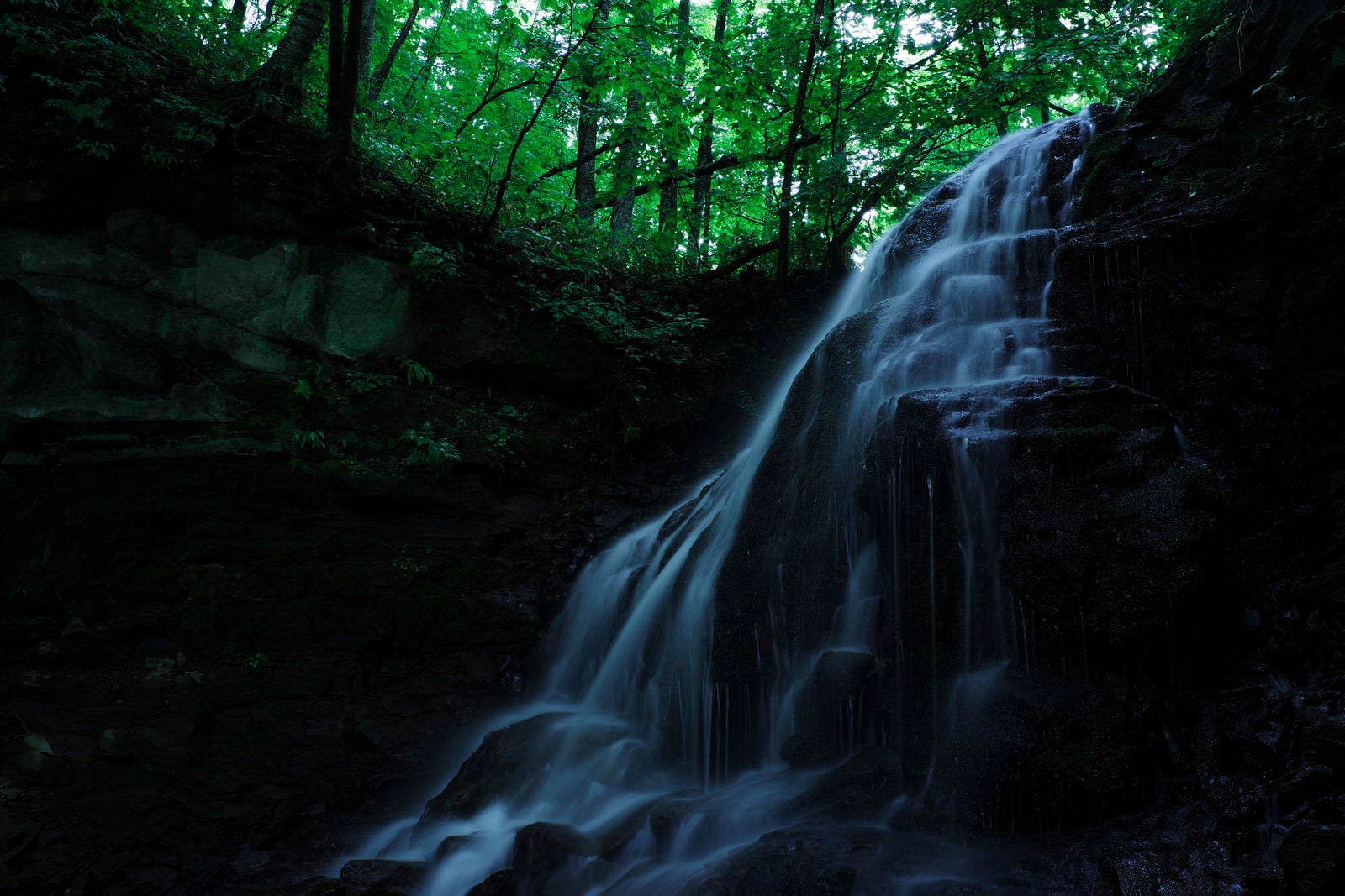 「森林の中をひっそりと流れるトブシの滝」の写真