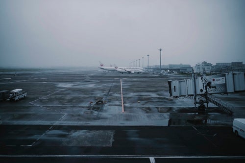 羽田空港に駐機する飛行機たちの写真