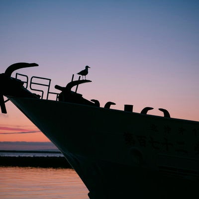 船にとまるカモメのシルエットの写真
