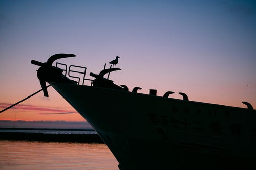 船にとまるカモメのシルエットの写真