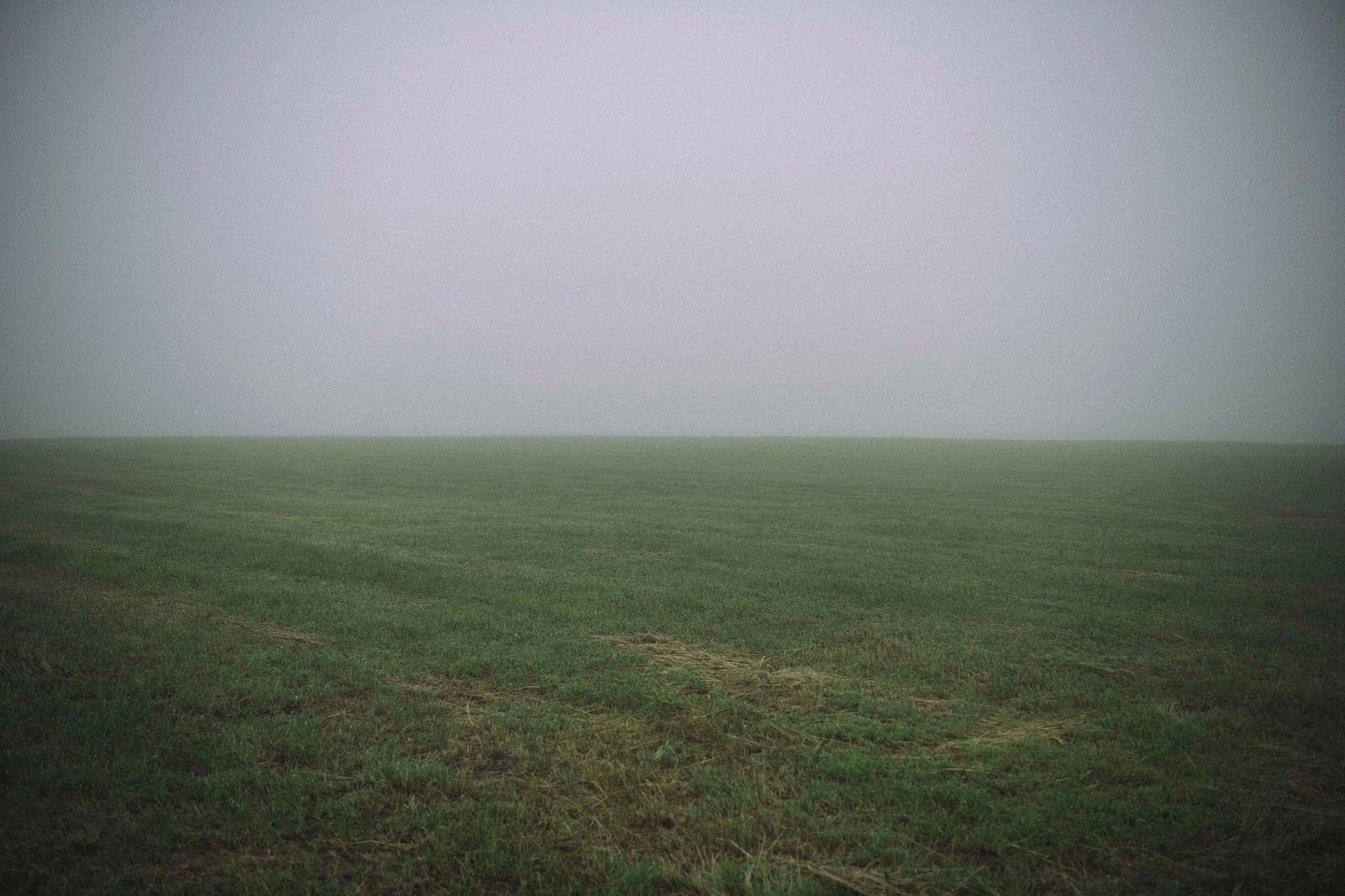 「虚無の牧草地」の写真