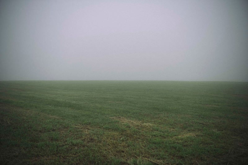 虚無の牧草地の写真