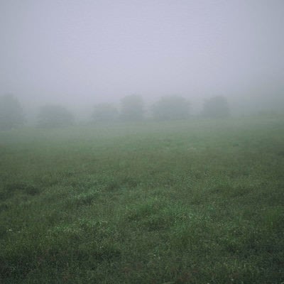 霧に向こうにおぼろげに見える木々の写真
