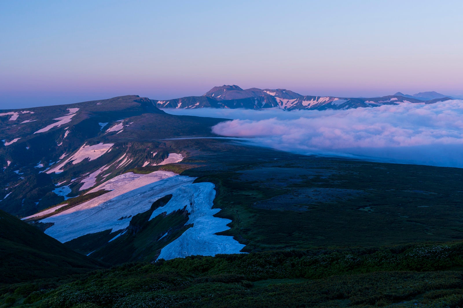 「朝焼けで紫に染まる空と雲海と高根ヶ原とトムラウシ山」の写真