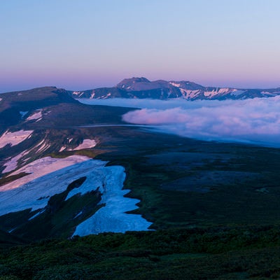 朝焼けで紫に染まる空と雲海と高根ヶ原とトムラウシ山の写真