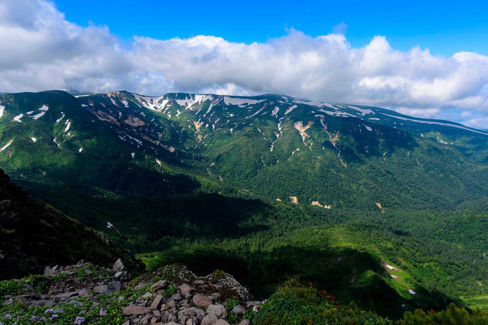 「化雲岳へと向かう稜線」の写真