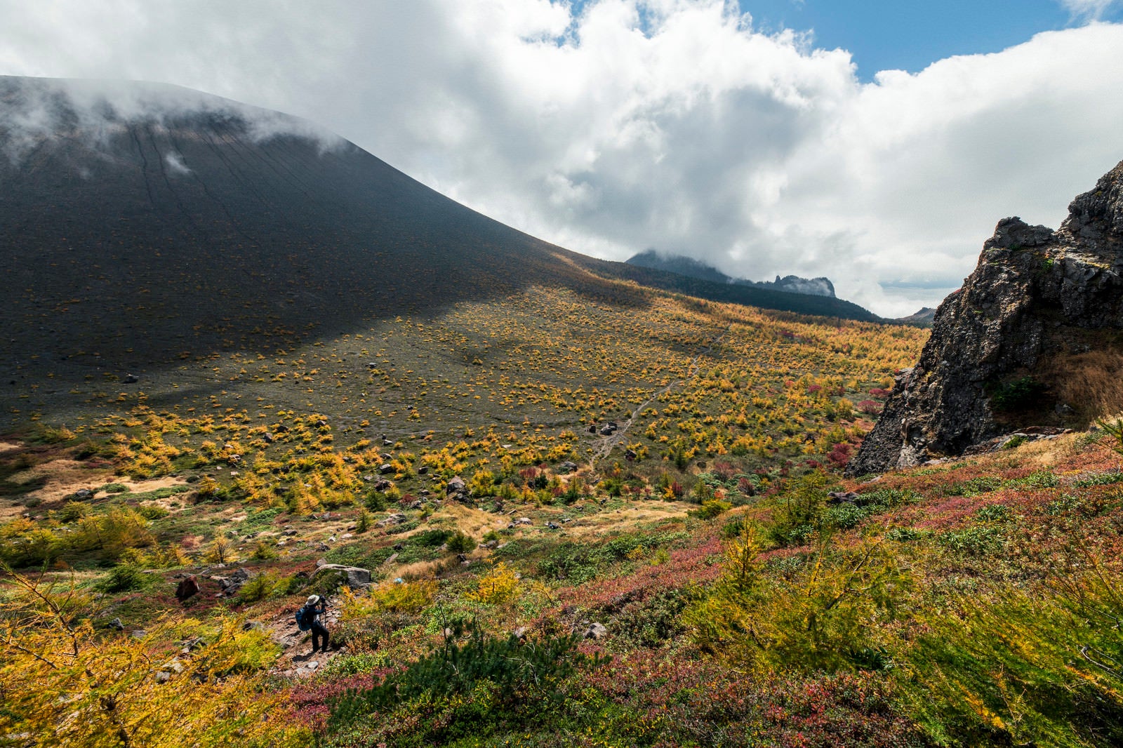 「黄色い紅葉が広がる浅間山」の写真