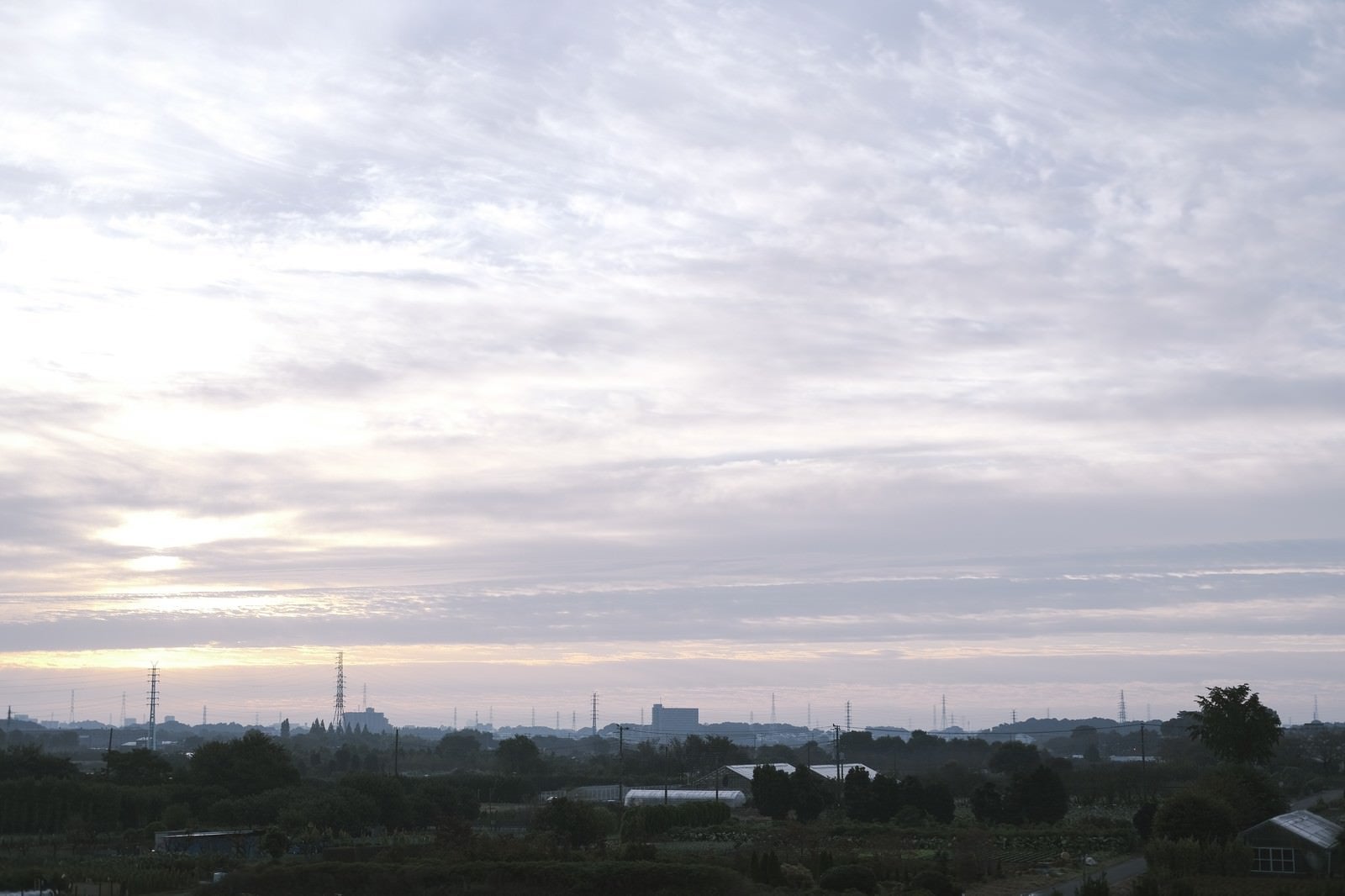 「シルキーな雲が広がる朝の空」の写真